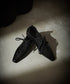 Lace Up Flats